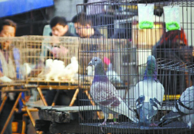 ��׸�𾩳��ϸ���(ͼ)