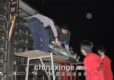 ����������Ĺ�ǰ20��������(ͼ)