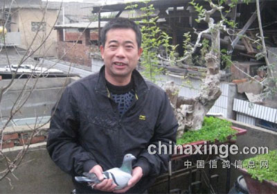 ���Ÿ�Э100Ԫר������������(ͼ)