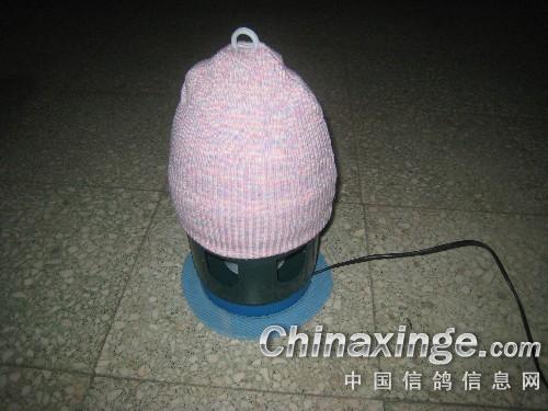 ��ˮ����������(ͼ)