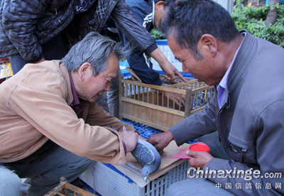 ��������420���Ｏ�뻨��(ͼ)