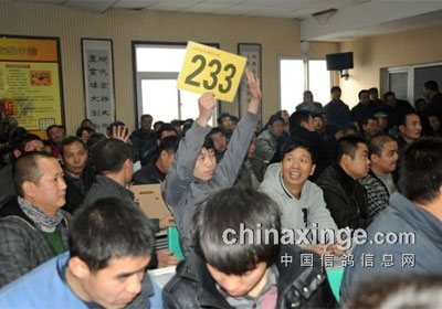 ̫ԭ����������佱������(ͼ)