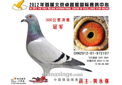 ׿Խ�ǹ������ǰ20����������(ͼ)