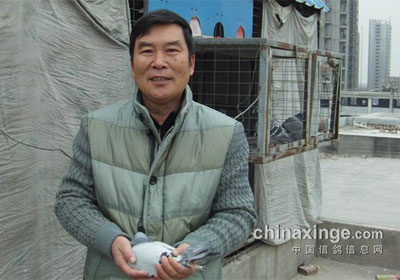 �����Э���峡�人��ɽվǰ�������(ͼ)