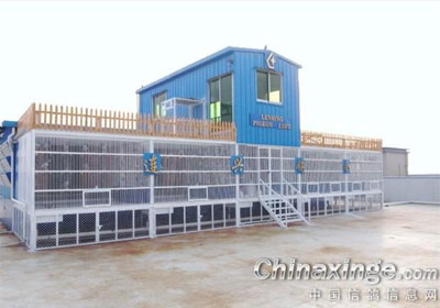 Ư����������(ͼ)