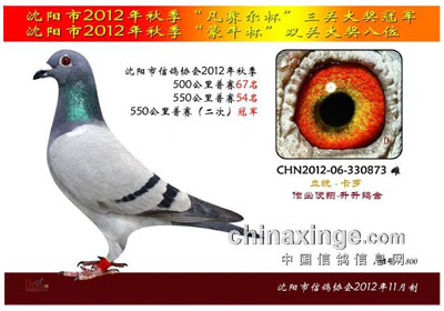 ������2012��������ʤ������(ͼ)