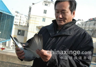 ��������64��Ԫ�رȳ����䶨(ͼ)