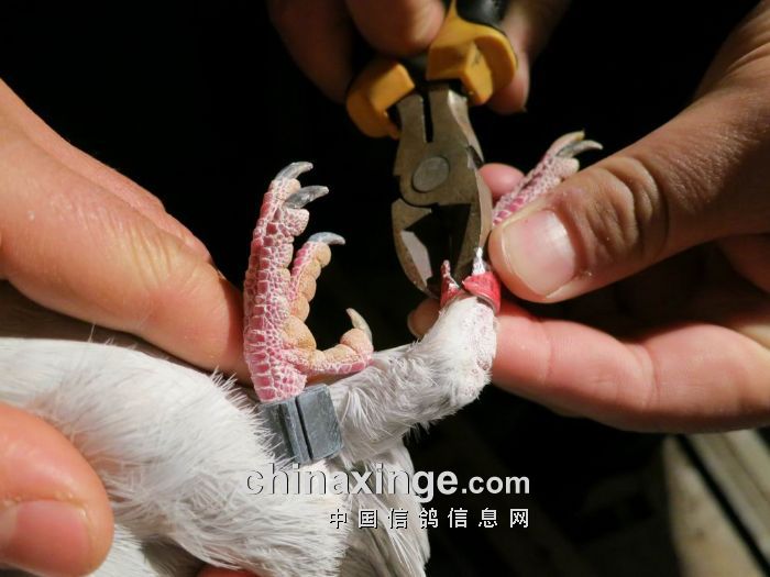 ���ڹ���112��δ���� Ԥ��ǰȫ������(ͼ)