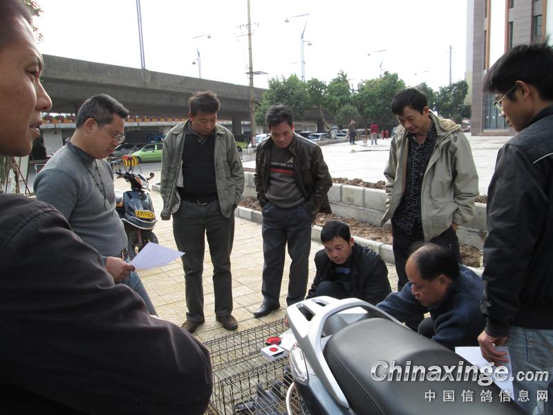 ����Կ������ݼ���40��(ͼ)