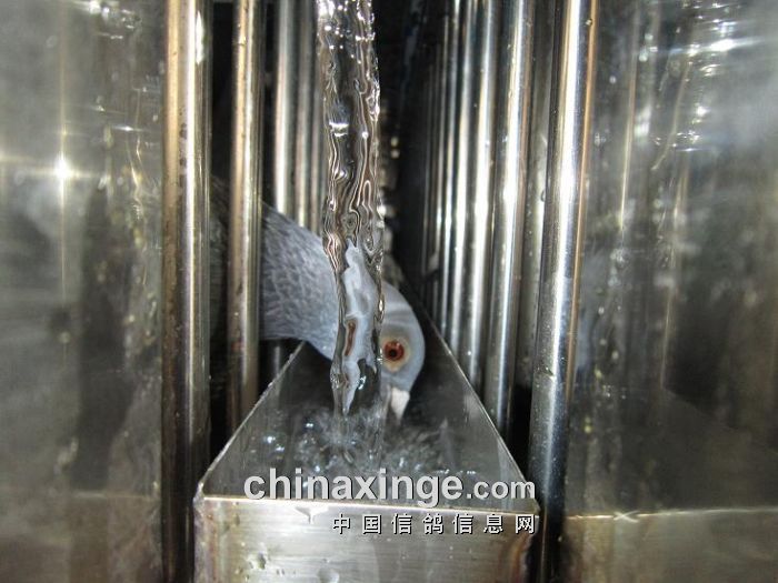 400���︽��������312�� �����19��(ͼ)