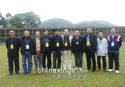 ���ݺ�����500�����������鳲(ͼ)