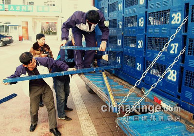 �ɶ�����500����������ս��������Ļ(ͼ)