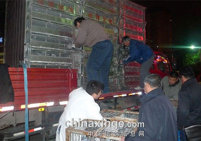 ������̨ɽ�����վ���ŷ�ȫ����(ͼ)