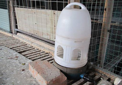 冬季自制饮水加热器(图)