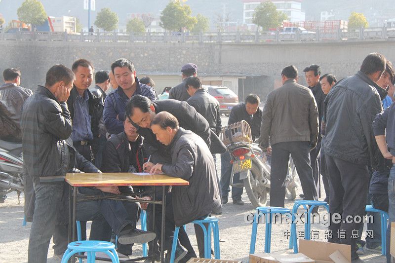 ¤�ϡ���ѩ������ ��ս����ɽ