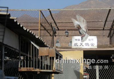 ������ٱ����� ����ƴ���ؼ���(ͼ)