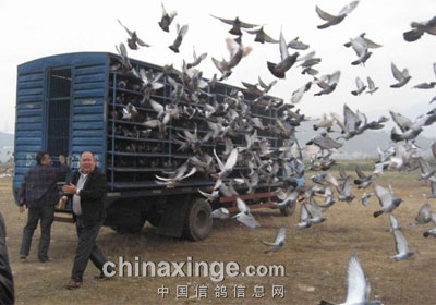 �㶫��ͷ���������������(ͼ)