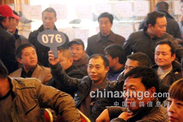 ������������佱�������ᱨ��(ͼ)