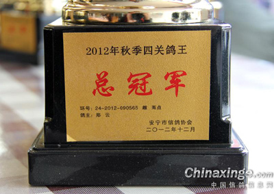 �����й������رȰ佱������(ͼ)