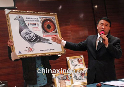 ����������������������(ͼ)