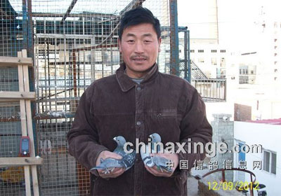 �����������320����ǰʮ����Ƭ