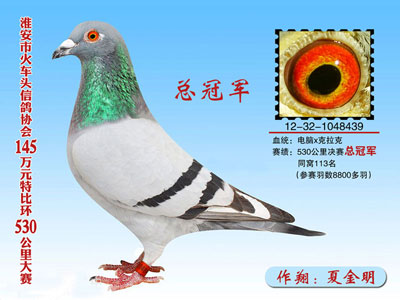 ������ͷ��ǧ���رȻ����θ�����(ͼ)