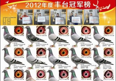 ������̨���2012��ȹھ�������(ͼ)