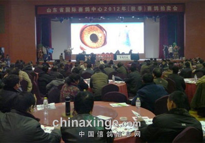 ɽ�����������������������Ứ��(ͼ)