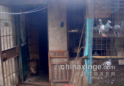 ��ˮ�ϵ�ġ����ᡱ(ͼ)