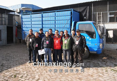 �������Ź��������׳��Ļ(ͼ)