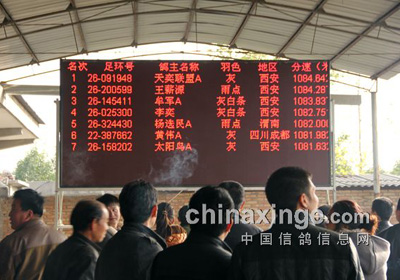 ��ĩ�������ݹ�����ͷϷ(ͼ)