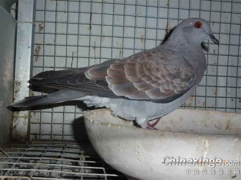 �����֮��(ͼ)