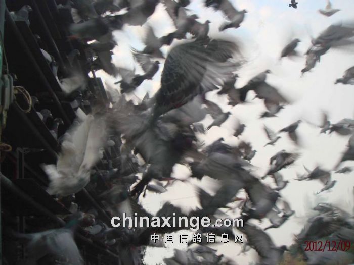 ����������880���� �ڶ��챨��(ͼ)