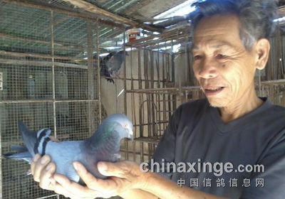 ��Ѯ�ϸ��Ѷ��رȹھ�(ͼ)