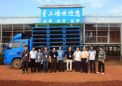 �����ǹ���Ԥ��ǰʮ���ֳ�չʾ(ͼ)