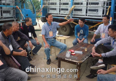 տ������500��������ɼ�(ͼ)