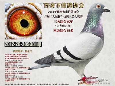 ��������������ǰʮ������(ͼ)