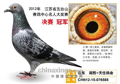 ��̨ɽ�������ǰʮ����������(ͼ)