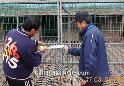 �ൺ��ʢ����461�����������(ͼ)