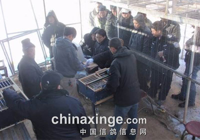 ��ս���㣺���������������½���鳲(ͼ)