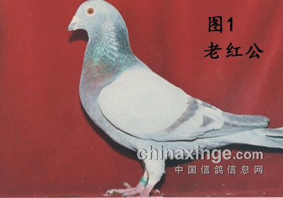 85����ѣ���Ϊʲô����