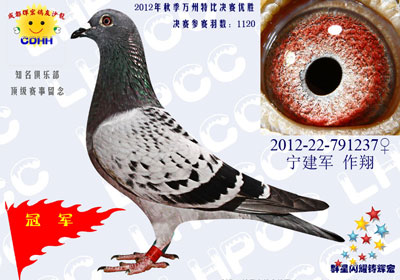 �ɶ��Ժꡰ���Ѷ��ߡ��ر�ǰʮ������(ͼ)