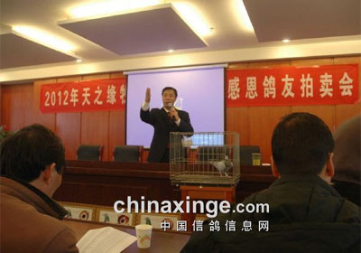 ������֮Ե������������(ͼ)