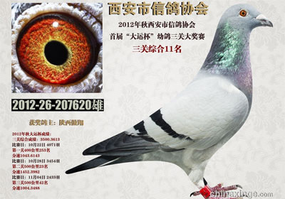 �������˱�������������ʤ������(ͼ)