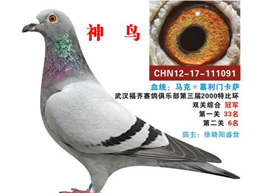 �人����2012����ʤ������(ͼ)