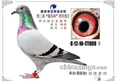 �����С��񶫱����Ĺظ���ǰʮ��(ͼ)