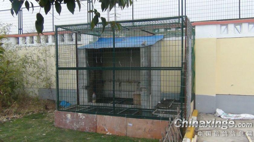 230Ԫ����(ͼ)