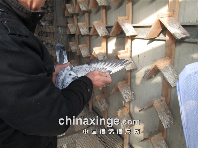 �������֣�74����ѹ�����(ͼ)