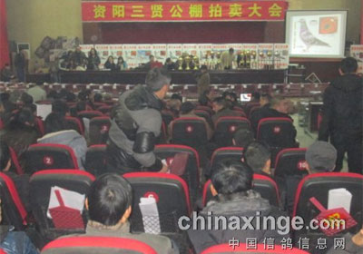 �Ĵ����͹���������������ϯ(ͼ)