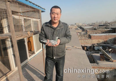 ��ɽ��ˮ300����Ԫ����ǰʮ�����(ͼ)